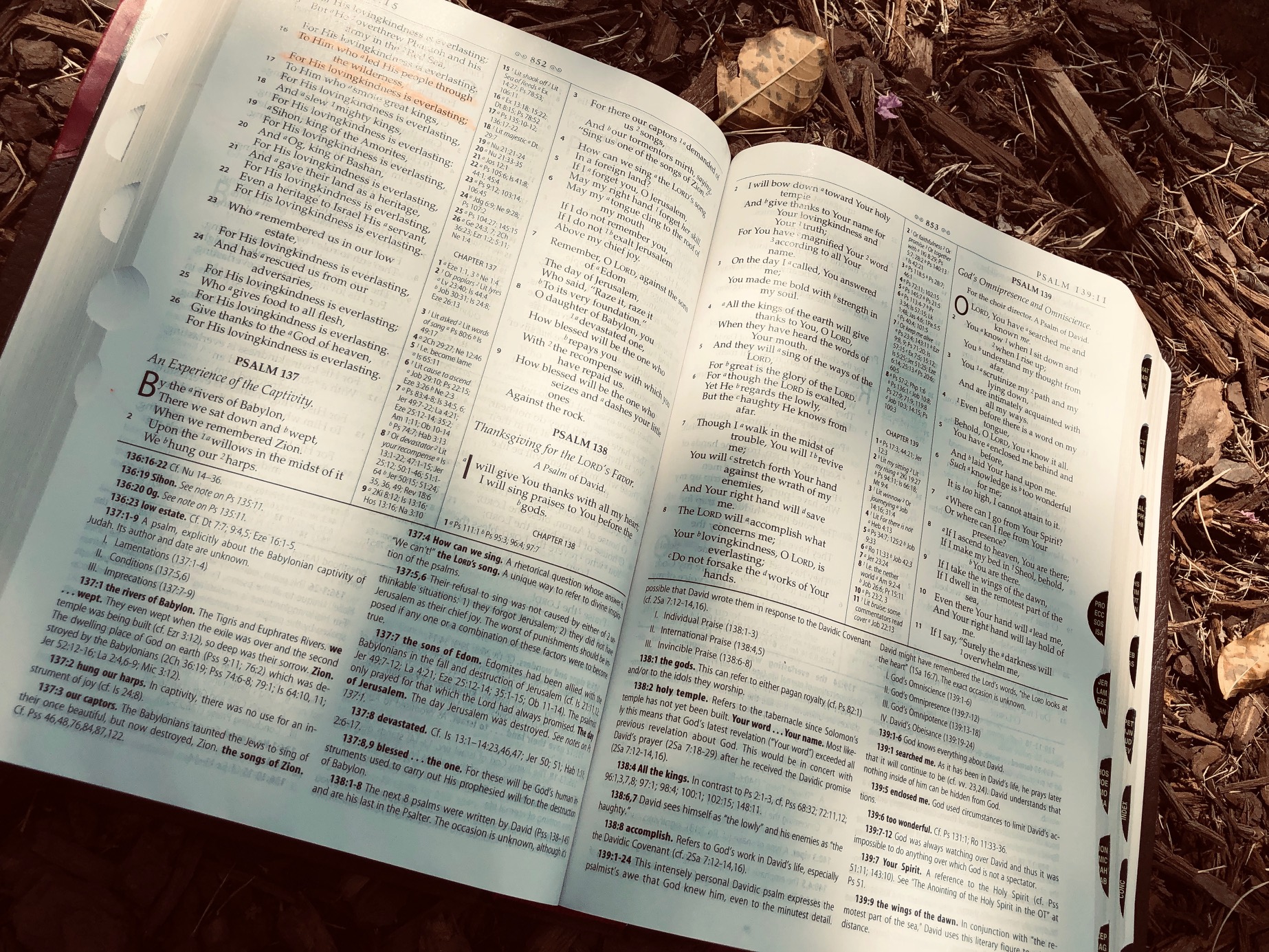 B6F6E149-BC16-48A8-AA4D-DDDC2C0C8960